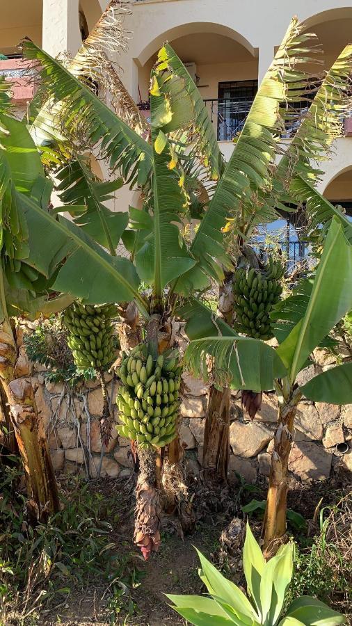 Appartement La Cala De Mijas Toegang Tot Strand Zewnętrze zdjęcie